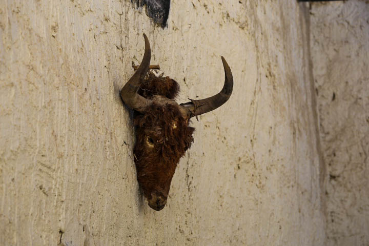 goat head lo manthang